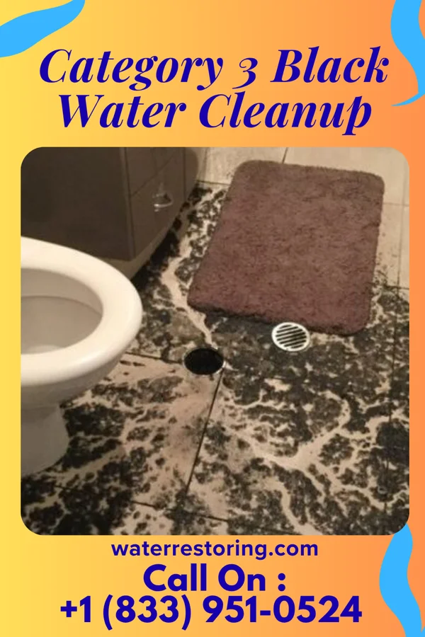 Category 3 Black Water Cleanup in Portageville, MO
