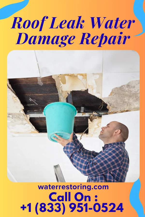 Roof Leak Water Damage Repair in Portageville, MO