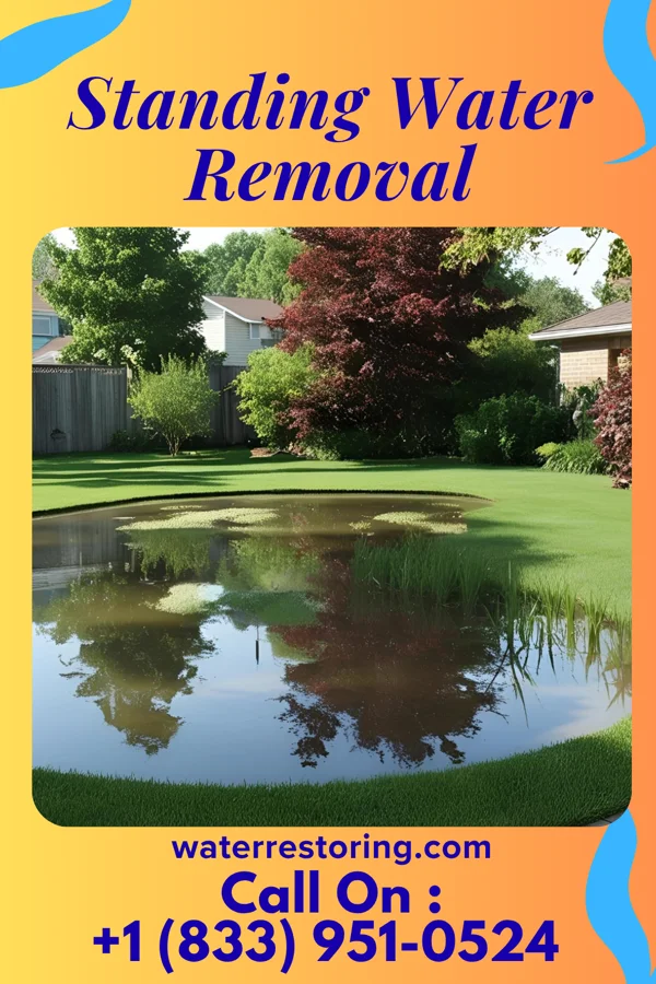 Standing Water Removal in Portageville, MO